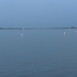 IMG_20190717_050118.jpg